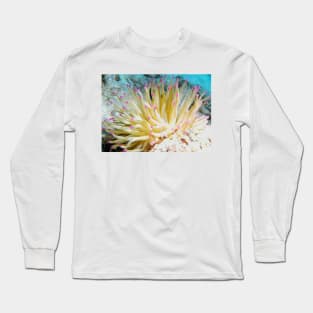 Pink Tipped Giant Sea Anemone Long Sleeve T-Shirt